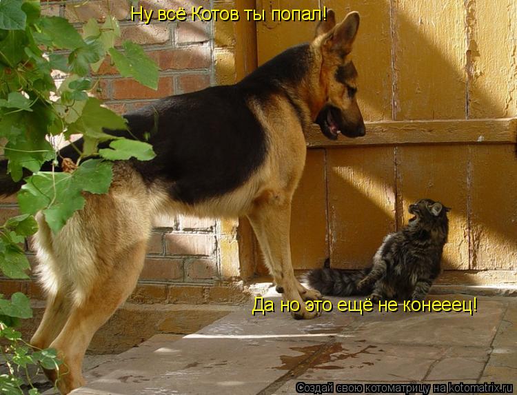 Ну всё Котов ты попал! Да но это ещё не конееец!... Котоматрица: Ну всё Котов ты попал! Да но это ещё не конееец!