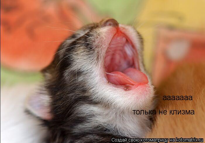 Котоматрица: ааааааа толька не клизма