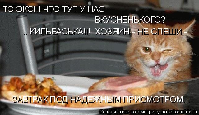 ТЭ-ЭКС!!! ЧТО ТУТ У НАС ВКУСНЕНЬКОГО? ...КИЛЬБАСЬКА!!! ХОЗЯИН - НЕ СПЕШИ - ЗАВТРАК ПОД НАДЕЖНЫМ ПРИ... Котоматрица: ТЭ-ЭКС!!! ЧТО ТУТ У НАС ВКУСНЕНЬКОГО? ...КИЛЬБАСЬКА!!! ХОЗЯИН - НЕ СПЕШИ - ЗАВТРАК ПОД НАДЕЖНЫМ ПРИСМОТРОМ...