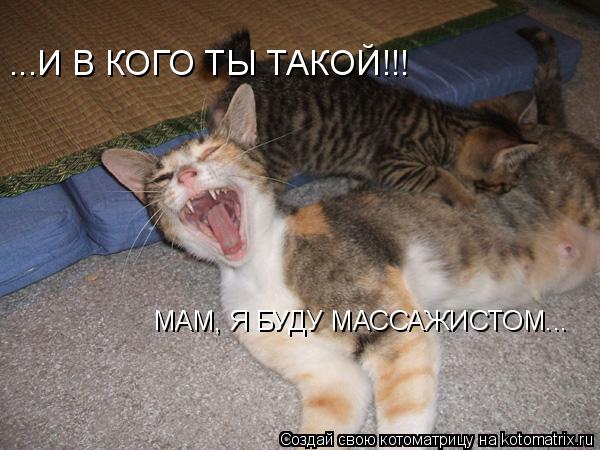 ...И В КОГО ТЫ ТАКОЙ!!! МАМ, Я БУДУ МАССАЖИСТОМ...... Котоматрица: ...И В КОГО ТЫ ТАКОЙ!!! МАМ, Я БУДУ МАССАЖИСТОМ...