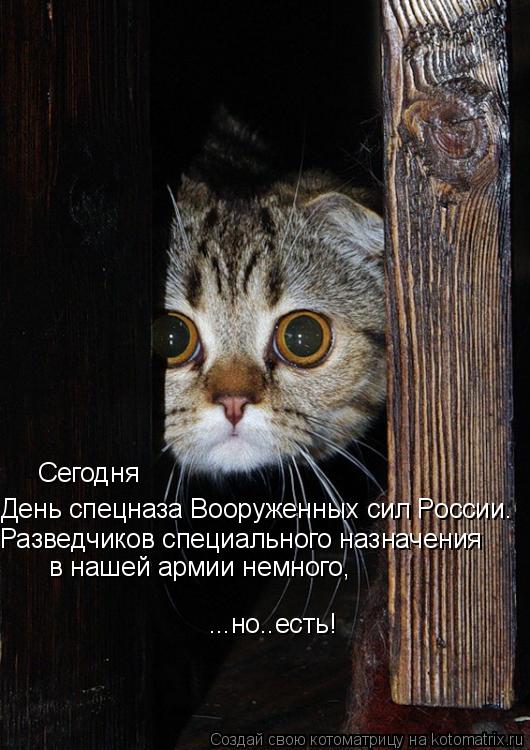 Котоматрица: День спецназа Вооруженных сил России.  Сегодня Разведчиков специального назначения  в нашей армии немного, ...но..есть!