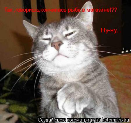 Котоматрица: Так ,говоришь,кончилась рыба в магазине!?? Ну-ну...