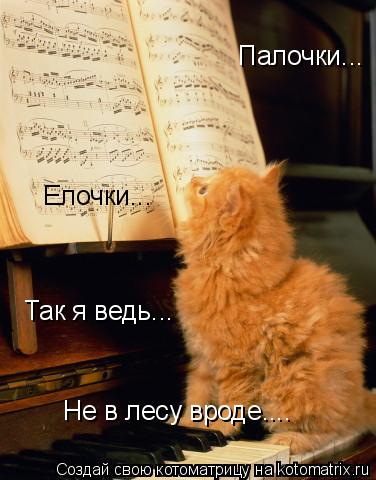 Палочки... Елочки... Так я ведь... Не в лесу вроде....... Котоматрица: Палочки... Елочки... Так я ведь... Не в лесу вроде....
