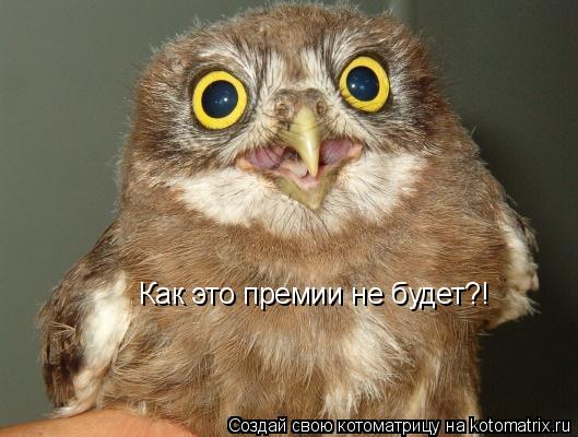 Как это премии не будет?!... Котоматрица: Как это премии не будет?!