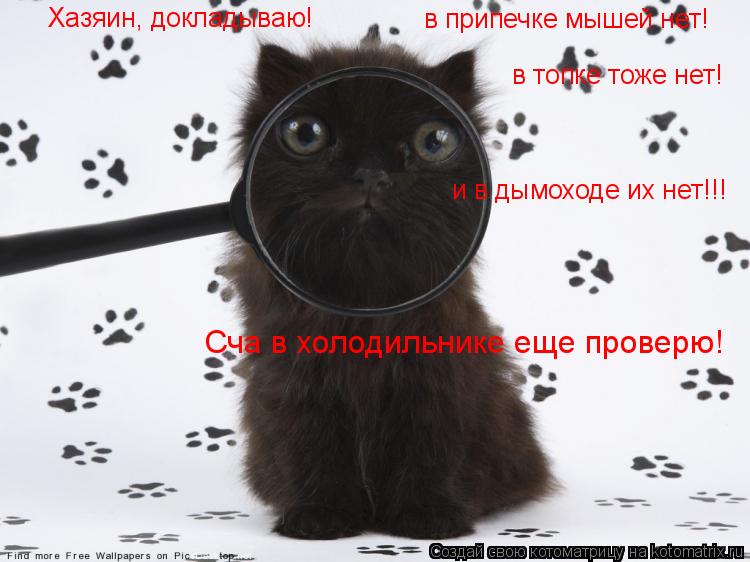 Хазяин, докладываю! в припечке мышей нет! в топке тоже нет! и в дымоходе их нет!!! Сча в холодильни... Котоматрица: Хазяин, докладываю! в припечке мышей нет! в топке тоже нет! и в дымоходе их нет!!! Сча в холодильнике еще проверю!