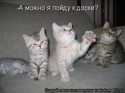 -А можно я пойду к доске?... Котоматрица: -А можно я пойду к доске?