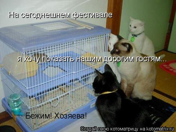 На сегоднешнем фестивале я хочу показать нашим дорогим гостям... Бежим! Хозяева!... Котоматрица: На сегоднешнем фестивале я хочу показать нашим дорогим гостям... Бежим! Хозяева!