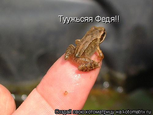 Котоматрица: Туужьсяя Федя!!