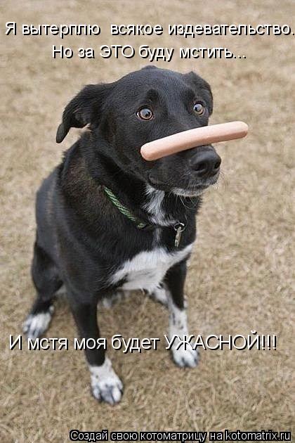 Я вытерплю всякое издевательство. И мстя моя будет УЖАСНОЙ!!! Но за ЭТО буду мстить...... Котоматрица: Я вытерплю всякое издевательство. И мстя моя будет УЖАСНОЙ!!! Но за ЭТО буду мстить...