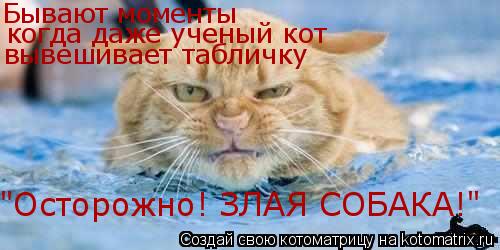 Котоматрица: Бывают моменты когда даже ученый кот вывешивает табличку "Осторожно! ЗЛАЯ СОБАКА!"