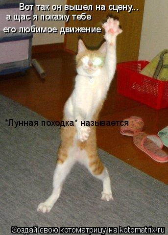Вот так он вышел на сцену... а щас я покажу тебе его любимое движение *Лунная походка* называется... Котоматрица: Вот так он вышел на сцену... а щас я покажу тебе его любимое движение *Лунная походка* называется