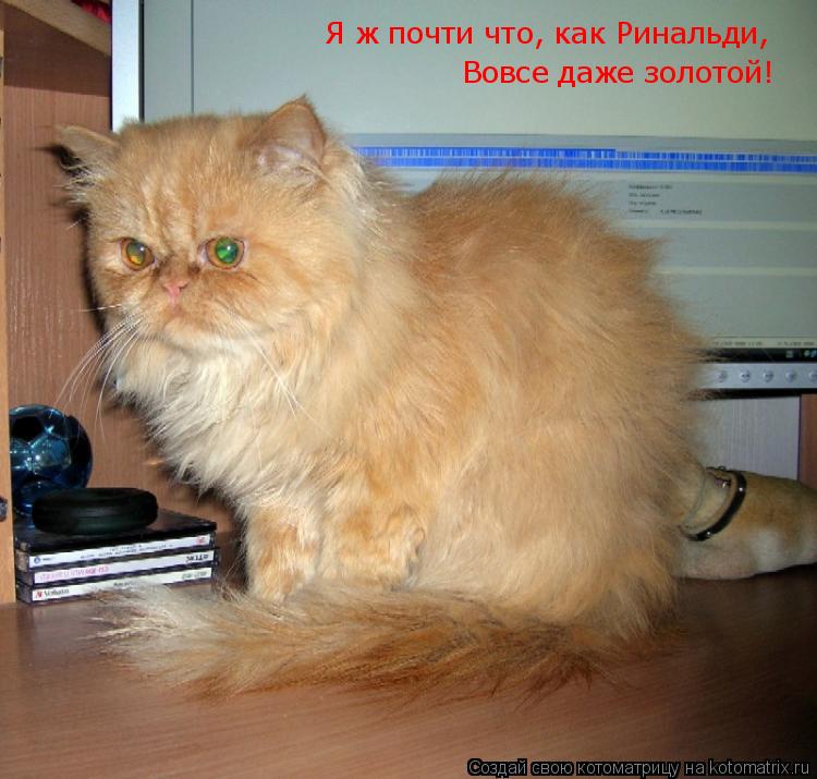 Я ж почти что, как Ринальди, Вовсе даже золотой!... Котоматрица: Я ж почти что, как Ринальди, Вовсе даже золотой!
