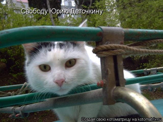 Свободу Юрию Деточкину... Котоматрица: Свободу Юрию Деточкину