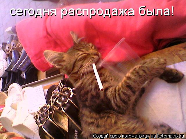 сегодня распродажа была!... Котоматрица: сегодня распродажа была!