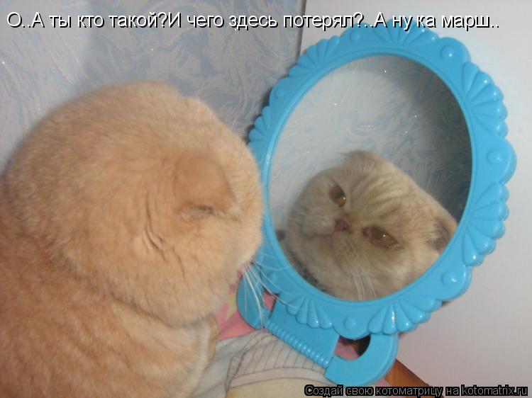 Котоматрица: О..А ты кто такой?И чего здесь потерял?..А ну ка марш..