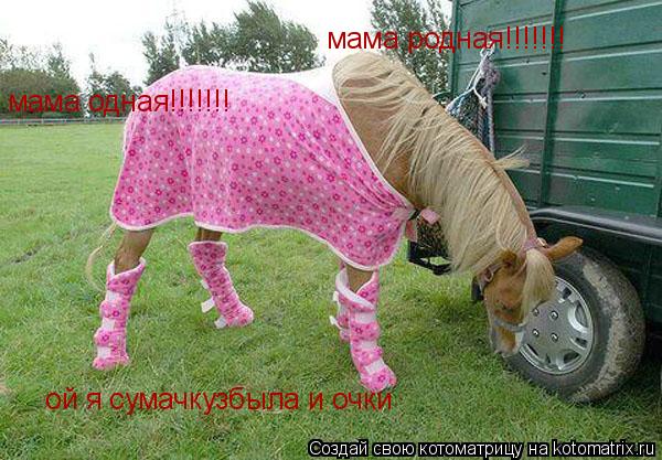 ой я сумачкузбыла и очки мама одная!!!!!!! мама родная!!!!!!!... Котоматрица: ой я сумачкузбыла и очки мама одная!!!!!!! мама родная!!!!!!!