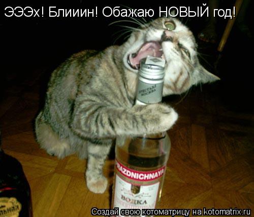 Котоматрица: ЭЭЭх! Блииин! Обажаю НОВЫЙ год!