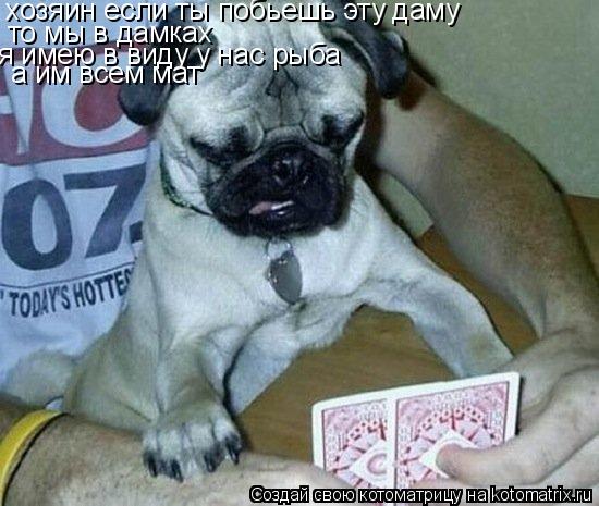 хозяин если ты побьешь эту даму то мы в дамках я имею в виду у нас рыба а им всем мат... Котоматрица: хозяин если ты побьешь эту даму то мы в дамках я имею в виду у нас рыба а им всем мат