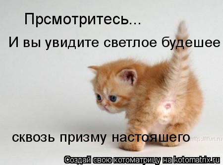 Котоматрица: Прсмотритесь... И вы увидите светлое будешее сквозь призму настояшего