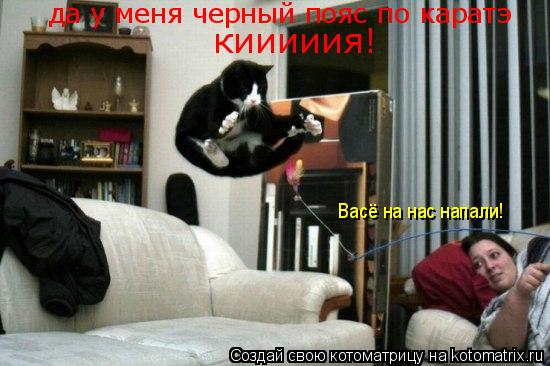 да у меня черный пояс по каратэ кииииия! Васё на нас напали!... Котоматрица: да у меня черный пояс по каратэ кииииия! Васё на нас напали!