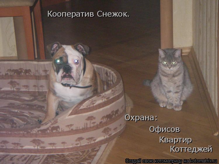 Котоматрица: Кооператив Снежок. Охрана: Офисов Квартир Коттеджей