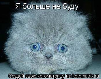 Котоматрица: Я больше не буду