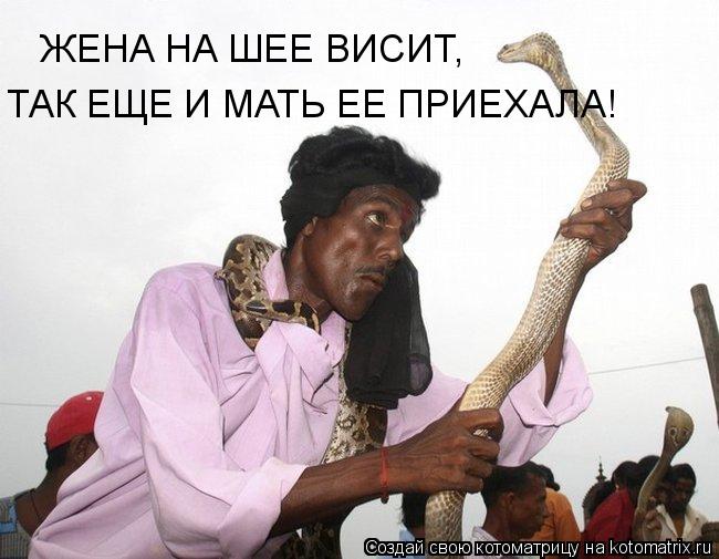 ЖЕНА НА ШЕЕ ВИСИТ, ТАК ЕЩЕ И МАТЬ ЕЕ ПРИЕХАЛА!... Котоматрица: ЖЕНА НА ШЕЕ ВИСИТ, ТАК ЕЩЕ И МАТЬ ЕЕ ПРИЕХАЛА!