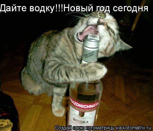 Котоматрица: Дайте водку!!!Новый год сегодня