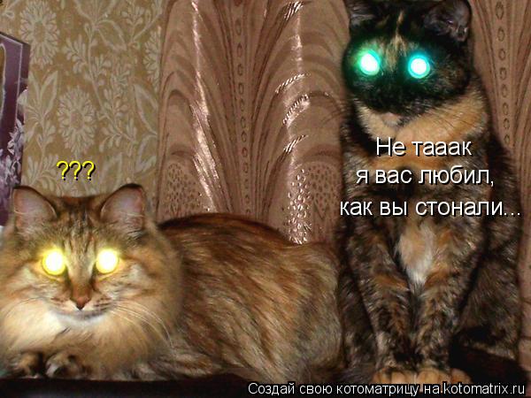 Не тааак я вас любил, как вы стонали... ???... Котоматрица: Не тааак я вас любил, как вы стонали... ???