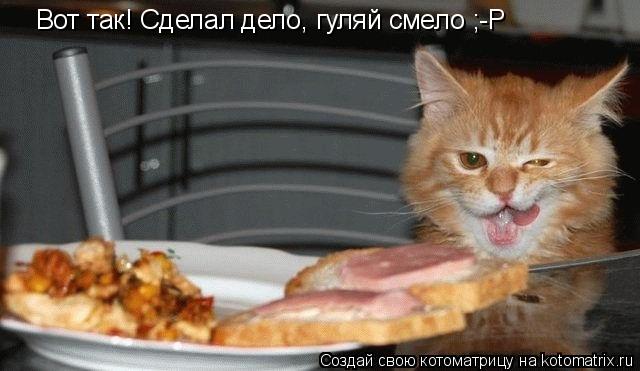 Вот так! Сделал дело, гуляй смело ;-Р... Котоматрица: Вот так! Сделал дело, гуляй смело ;-Р