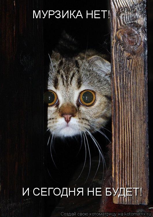 Котоматрица: МУРЗИКА НЕТ! И СЕГОДНЯ НЕ БУДЕТ!