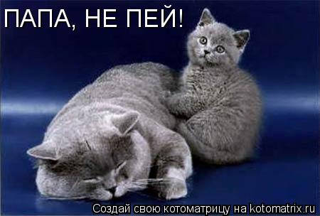 Котоматрица: ПАПА, НЕ ПЕЙ!