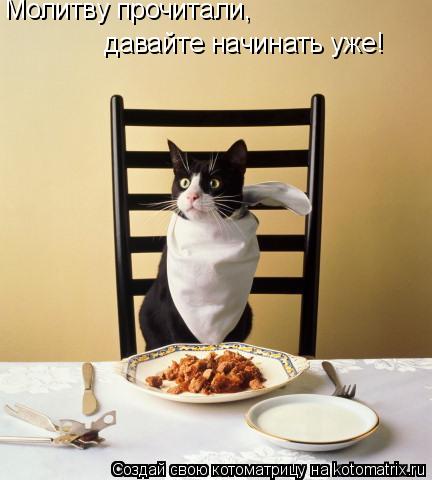 Молитву прочитали, давайте начинать уже!... Котоматрица: Молитву прочитали, давайте начинать уже!