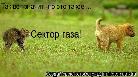 Котоматрица: Так вот значит что это такое ...   Сектор газа!
