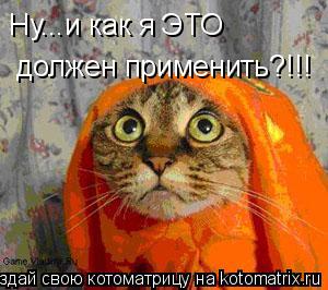 Ну...и как я ЭТО должен применить?!!!... Котоматрица: Ну...и как я ЭТО должен применить?!!!