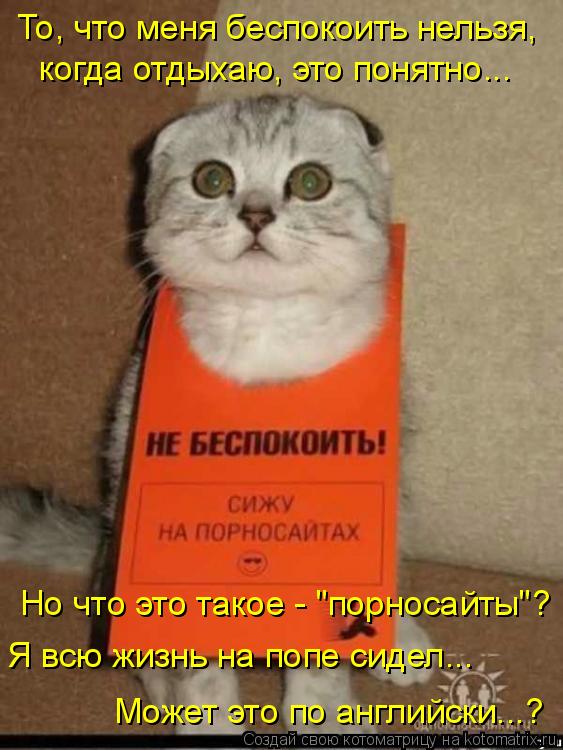То, что меня беспокоить нельзя, когда отдыхаю, это понятно... Я всю жизнь на попе сидел... Может это ... Котоматрица: То, что меня беспокоить нельзя, когда отдыхаю, это понятно... Я всю жизнь на попе сидел... Может это по английски...? Но что это такое - "порносайт