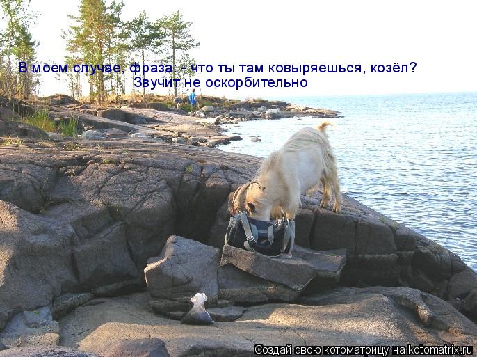 В моем случае, фраза: - что ты там ковыряешься, козёл? Звучит не оскорбительно... Котоматрица: В моем случае, фраза: - что ты там ковыряешься, козёл? Звучит не оскорбительно