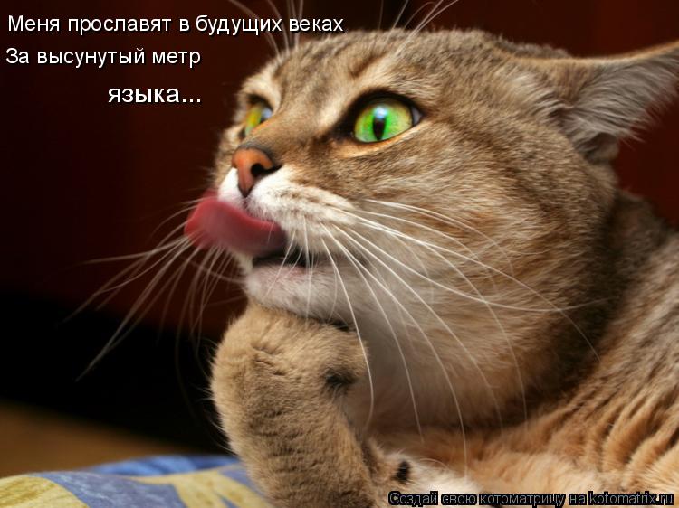 Котоматрица: Меня прославят в будущих веках За высунутый метр языка...