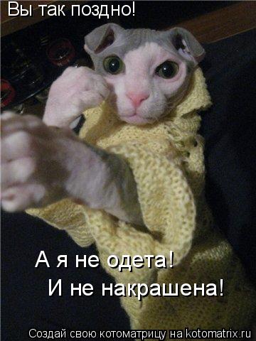 Вы так поздно! А я не одета! И не накрашена!... Котоматрица: Вы так поздно! А я не одета! И не накрашена!