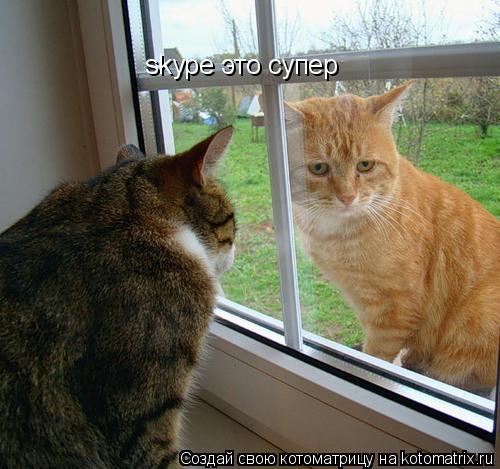 skype это супер... Котоматрица: skype это супер