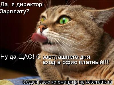 Да, я директор! Зарплату? Ну да ЩАС! С завтрашнего дня вход в офис платный!!!... Котоматрица: Да, я директор! Зарплату? Ну да ЩАС! С завтрашнего дня вход в офис платный!!!