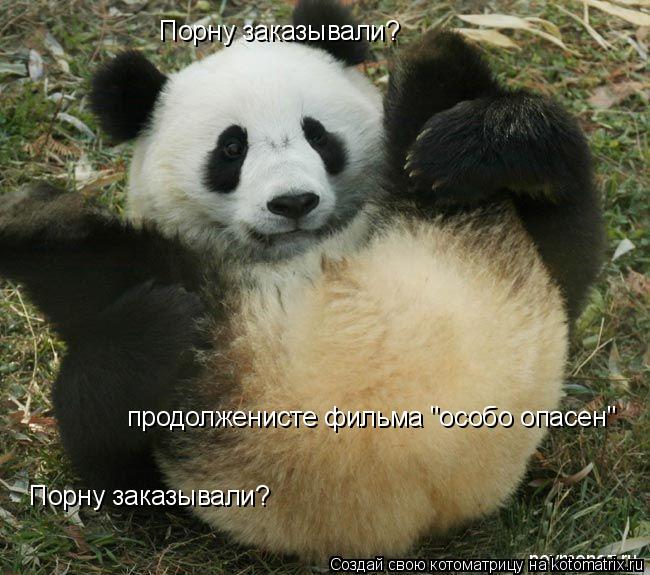 Котоматрица: Порну заказывали? Порну заказывали? продолженисте фильма "особо опасен"