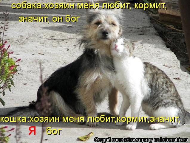 Котоматрица: собака:хозяин меня любит, кормит,  значит, он бог  кошка:хозяин меня любит,кормит,значит,   я бог