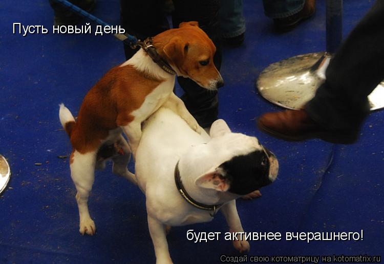 Пусть новый день будет активнее вчерашнего!... Котоматрица: Пусть новый день будет активнее вчерашнего!