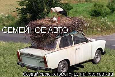 Котоматрица: СЕМЕЙНОЕ АВТО