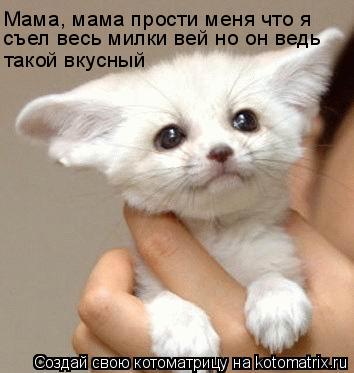 Мама, мама прости меня что я съел весь милки вей но он ведь такой вкусный... Котоматрица: Мама, мама прости меня что я съел весь милки вей но он ведь такой вкусный