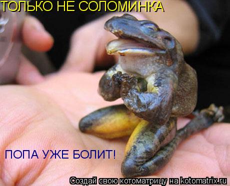 Котоматрица: ТОЛЬКО НЕ СОЛОМИНКА ПОПА УЖЕ БОЛИТ!