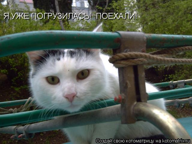 Котоматрица: Я УЖЕ ПОГРУЗИЛАСЬ!  ПОЕХАЛИ!