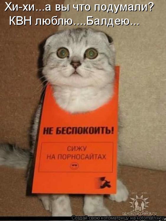 Котоматрица: Хи-хи...а вы что подумали? КВН люблю....Балдею...