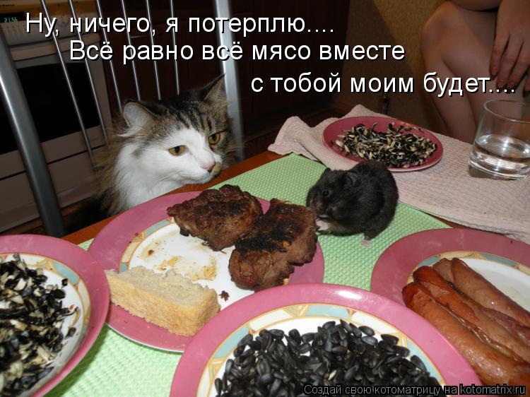 Ну, ничего, я потерплю.... Всё равно всё мясо вместе с тобой моим будет....... Котоматрица: Ну, ничего, я потерплю.... Всё равно всё мясо вместе с тобой моим будет....